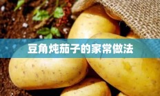 豆角炖茄子的家常做法