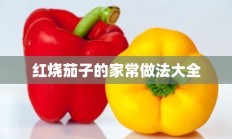 红烧茄子的家常做法大全