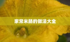 家常米肠的做法大全