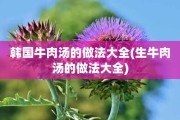 韩国牛肉汤的做法大全(生牛肉汤的做法大全)