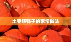 土豆烧鸭子的家常做法