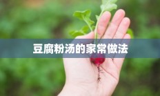 豆腐粉汤的家常做法