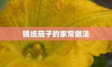 锡纸茄子的家常做法