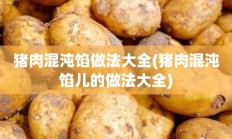 猪肉混沌馅做法大全(猪肉混沌馅儿的做法大全)