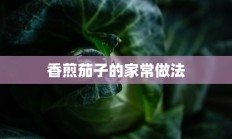 香煎茄子的家常做法