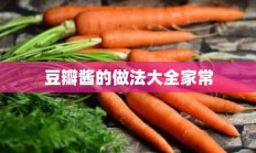 豆瓣酱的做法大全家常