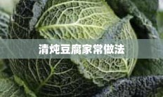 清炖豆腐家常做法