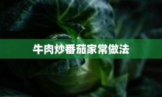 牛肉炒番茄家常做法