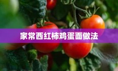 家常西红柿鸡蛋面做法