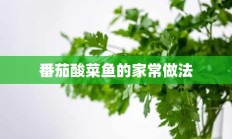 番茄酸菜鱼的家常做法