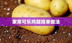 家常可乐鸡腿简单做法