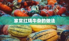 家常红烧牛杂的做法