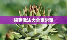 豌豆做法大全家常菜