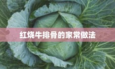 红烧牛排骨的家常做法