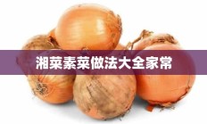 湘菜素菜做法大全家常