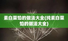 素白菜馅的做法大全(纯素白菜馅的做法大全)