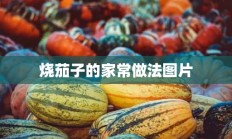 烧茄子的家常做法图片