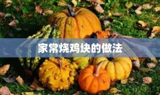 家常烧鸡块的做法