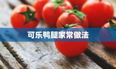 可乐鸭腿家常做法