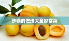 沙锅的做法大全家常菜