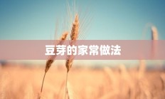 豆芽的家常做法