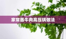 家常酱牛肉高压锅做法