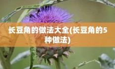 长豆角的做法大全(长豆角的5种做法)