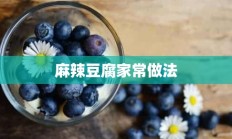 麻辣豆腐家常做法