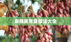 麻辣家常菜做法大全