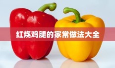 红烧鸡腿的家常做法大全