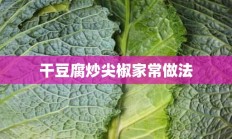 干豆腐炒尖椒家常做法