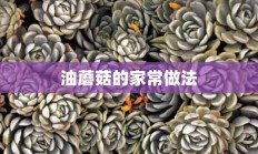 油蘑菇的家常做法