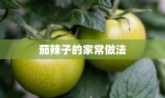 茄辣子的家常做法