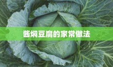 酱焖豆腐的家常做法