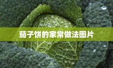 茄子饼的家常做法图片