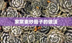 家常素炒茄子的做法