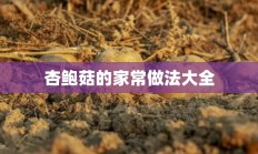 杏鲍菇的家常做法大全