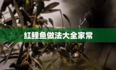 红鲤鱼做法大全家常