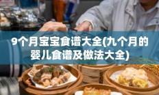 9个月宝宝食谱大全(九个月的婴儿食谱及做法大全)