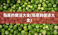 包菜的做法大全(包菜的做法大全)