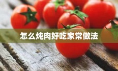 怎么炖肉好吃家常做法