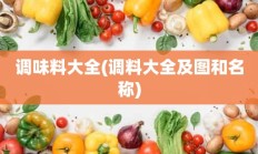 调味料大全(调料大全及图和名称)