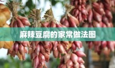 麻辣豆腐的家常做法图