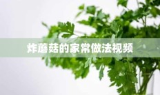 炸蘑菇的家常做法视频