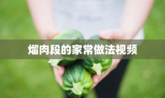 熘肉段的家常做法视频