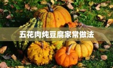 五花肉炖豆腐家常做法