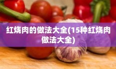 红烧肉的做法大全(15种红烧肉做法大全)