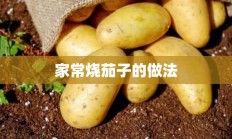 家常烧茄子的做法