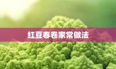 红豆春卷家常做法