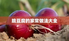 脆豆腐的家常做法大全